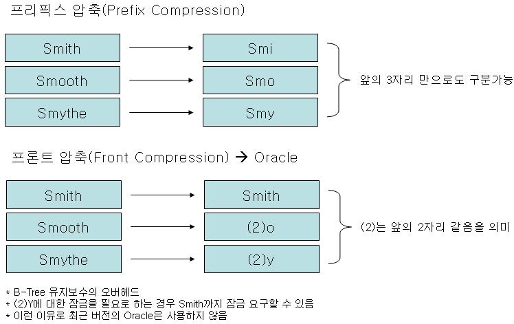 index02.jpg